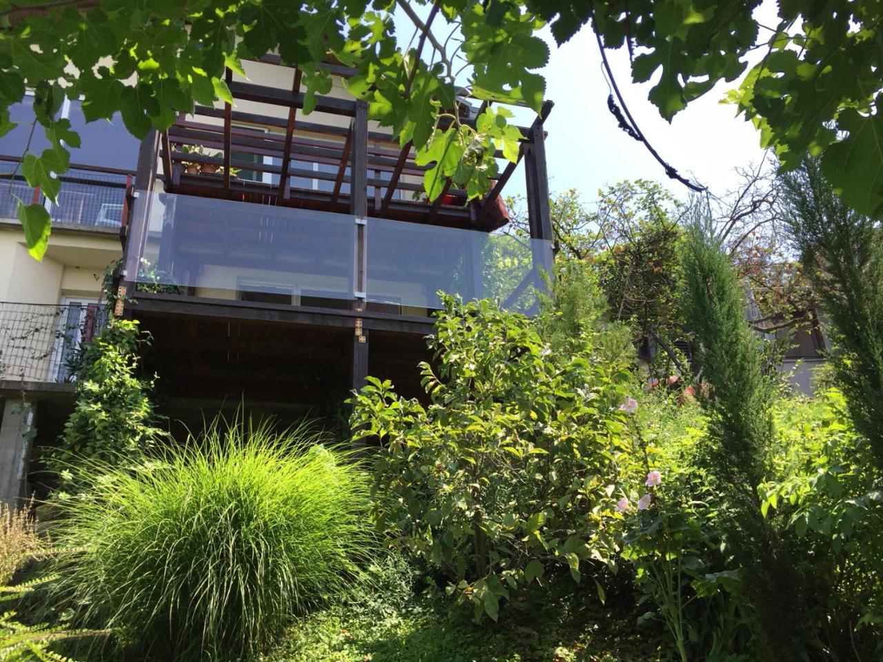 Pergola House In A Green Oasis With Fantastic View Daire Petrovaradin Dış mekan fotoğraf
