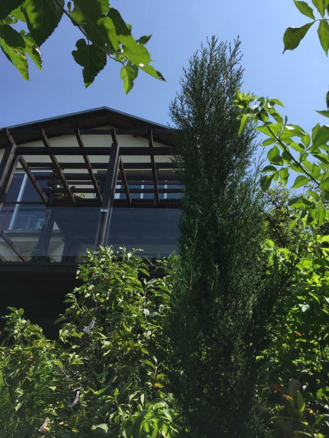 Pergola House In A Green Oasis With Fantastic View Daire Petrovaradin Dış mekan fotoğraf